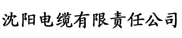 国产亚洲精品影视在线电缆厂logo